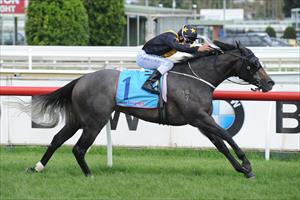 Lamingtons runs her rivals ragged at Caulfield on Easter Monday